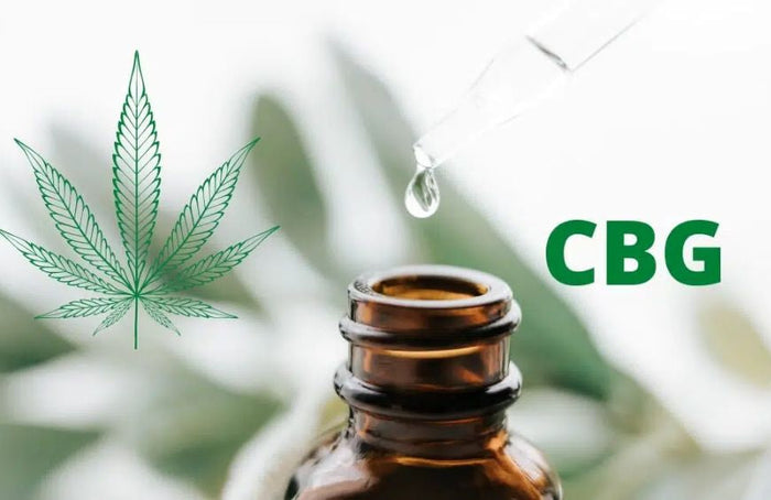 Voici quelques conseils pour bien choisir son huile de CBG