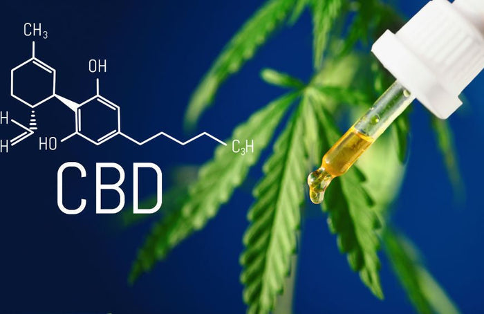 Vous débutez le CBD ? Voici à quoi vous attendre