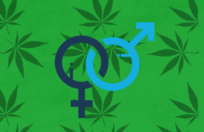 Comment le CBD touche différemment les hommes et les femmes ?