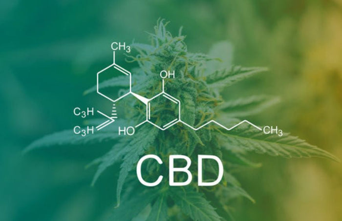 Todas essas perguntas que se faz antes de tomar CBD