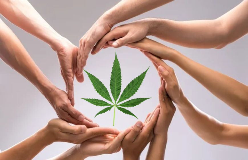CBD: Tudo o que precisa de saber sobre o efeito sinérgico
