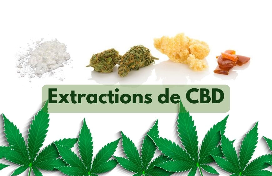 À quoi servent les extractions de CBD ?