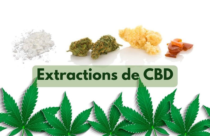 À quoi servent les extractions de CBD ?