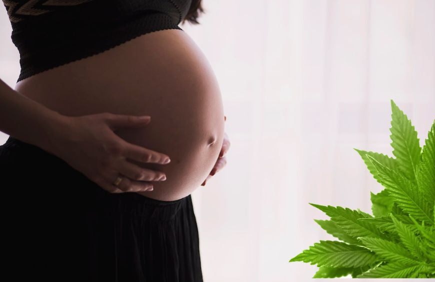 Qual é o impacto do cannabis na gravidez?