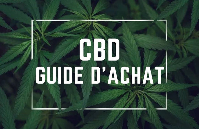 Achat de cannabidiol : où aller ?