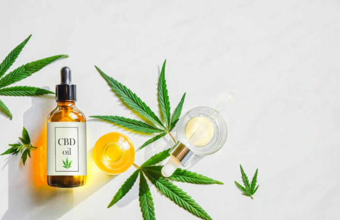 CBD de espectro completo ou isolado: qual escolher?