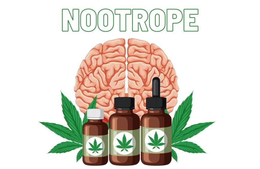 O CBD é um nootrópico?