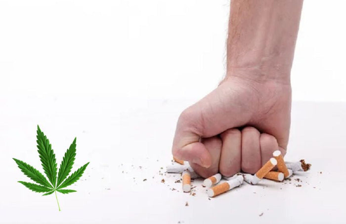 CBD : une aide pour arrêter de fumer d'après une nouvelle étude
