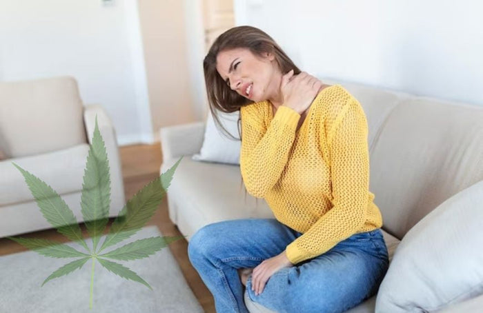 Douleurs chroniques : le CBD serait-il la solution ?