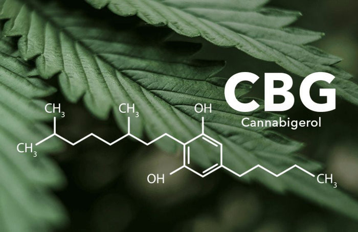 O CBG e o CBD podem afetar o nosso estado mental?