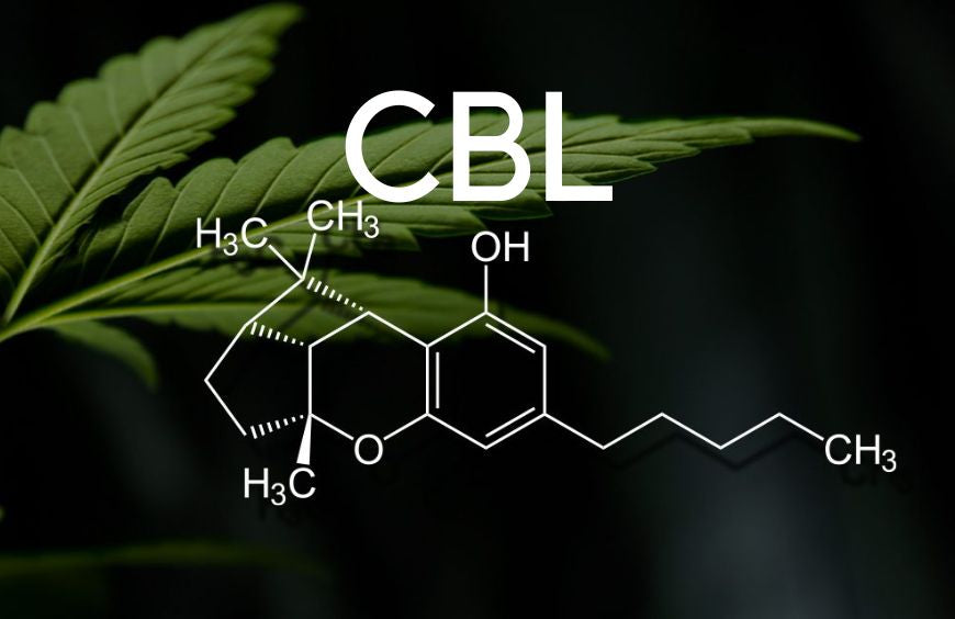 O que é o canabiciclol (CBL)?