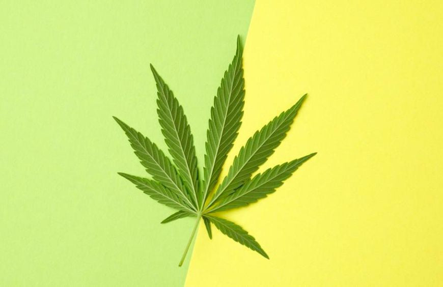 HHC e THC: quais são as diferenças?
