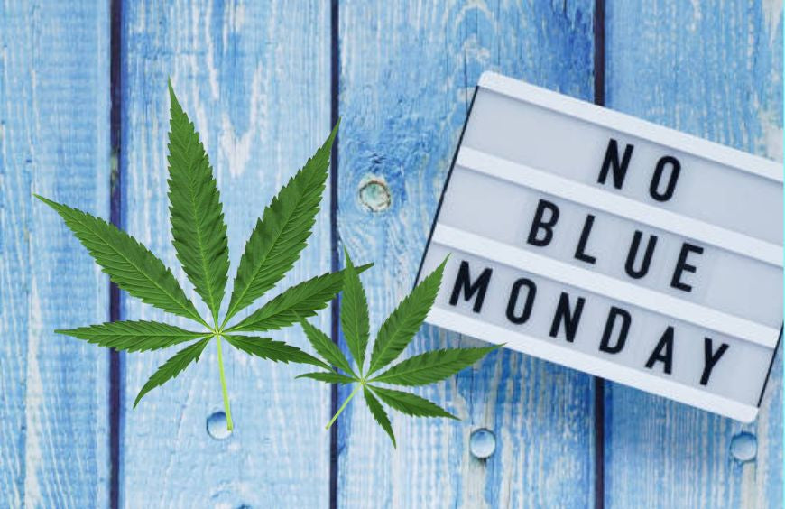 Como superar a tristeza da Blue Monday?