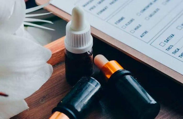 Todos os estudos científicos sobre a cannabis em 2022
