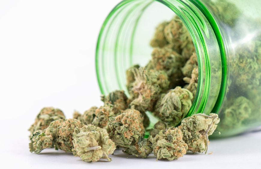Qual é a flor de CBD mais potente para fumar em 2025?