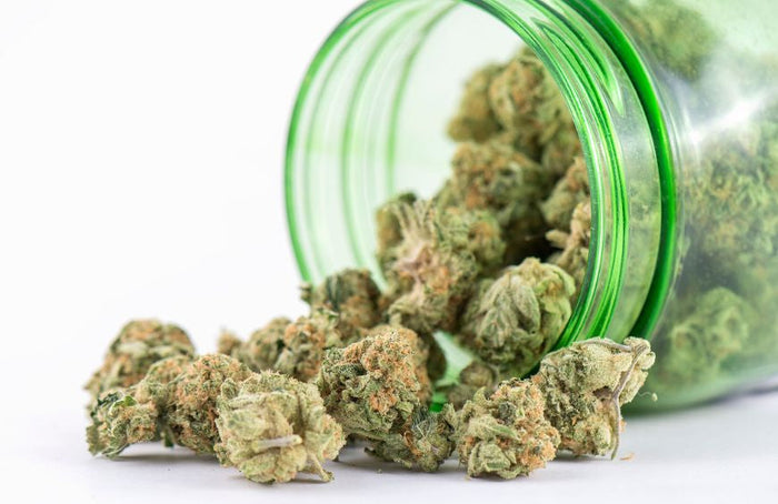 Qual é a flor de CBD mais potente para fumar em 2025?