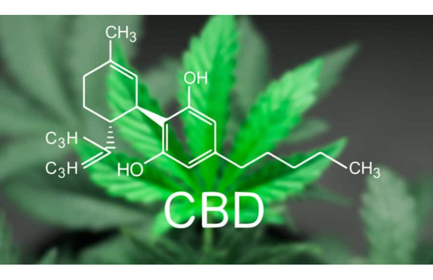 Que tipo de CBD é indicado para as dores?