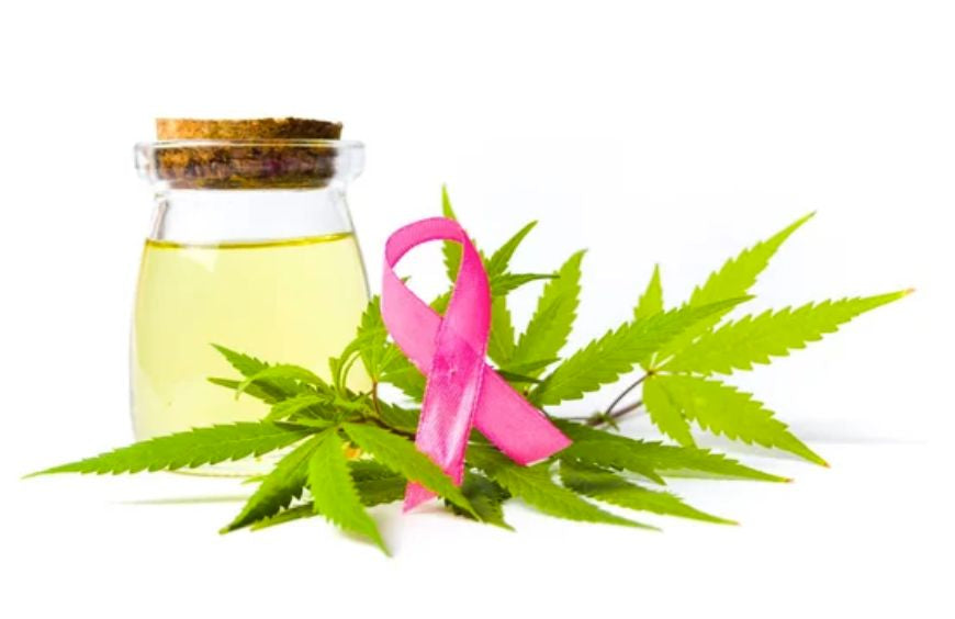A ingestão de CBD pode ser benéfica no combate ao cancro?