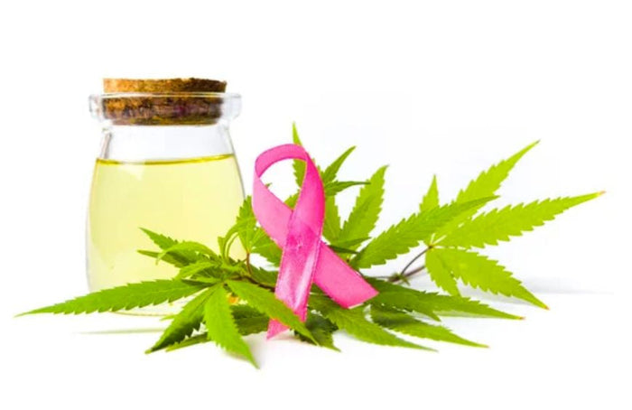 Kann die Einnahme von CBD bei Krebs helfen?