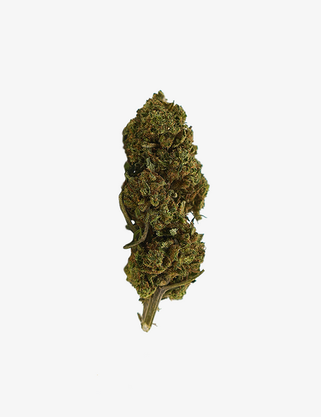 Bubba Kush CBD – Fleur greenhouse premium