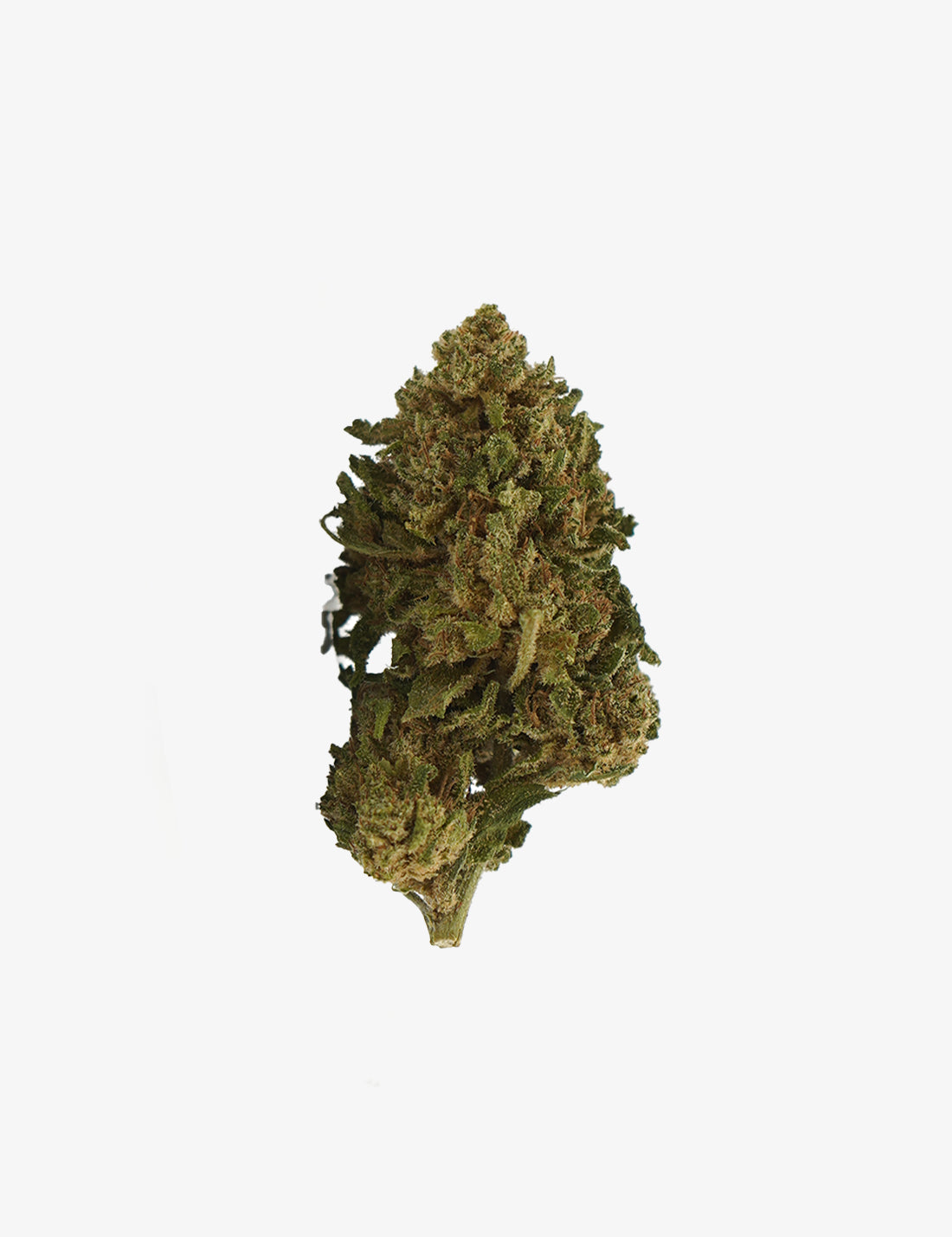 Une photo packshot du Gelato CBD sur un fond blanc 