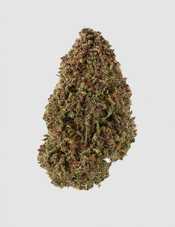 Pumpkin Haze