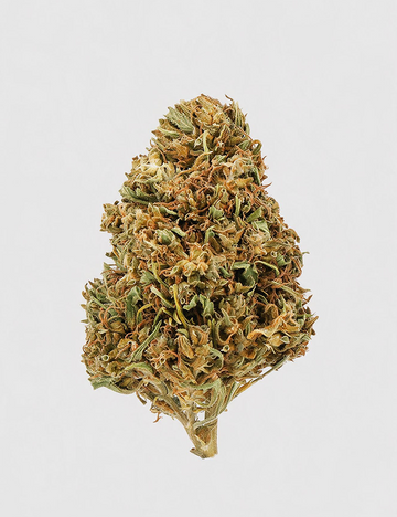 Watermelon CBD