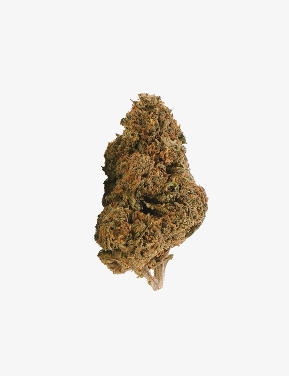Une photo packshot du Jack Herer CBD ( vue de face) sur un fond blanc