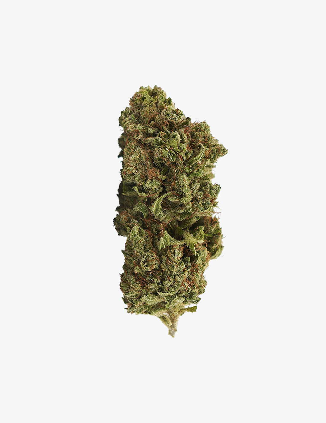 Une photo du Mango Haze sur un fond blanc