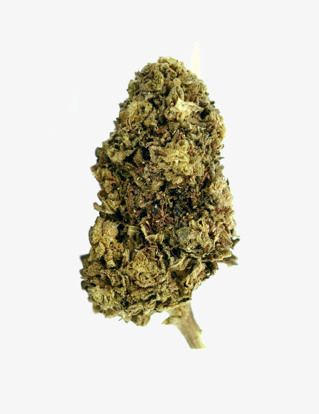 Une photo du Northern Lights CBD sur un fond blanc ( packshot)