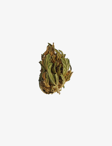 une photo packshot du Wedding Cake CBD Small Buds sur un fond blanc
