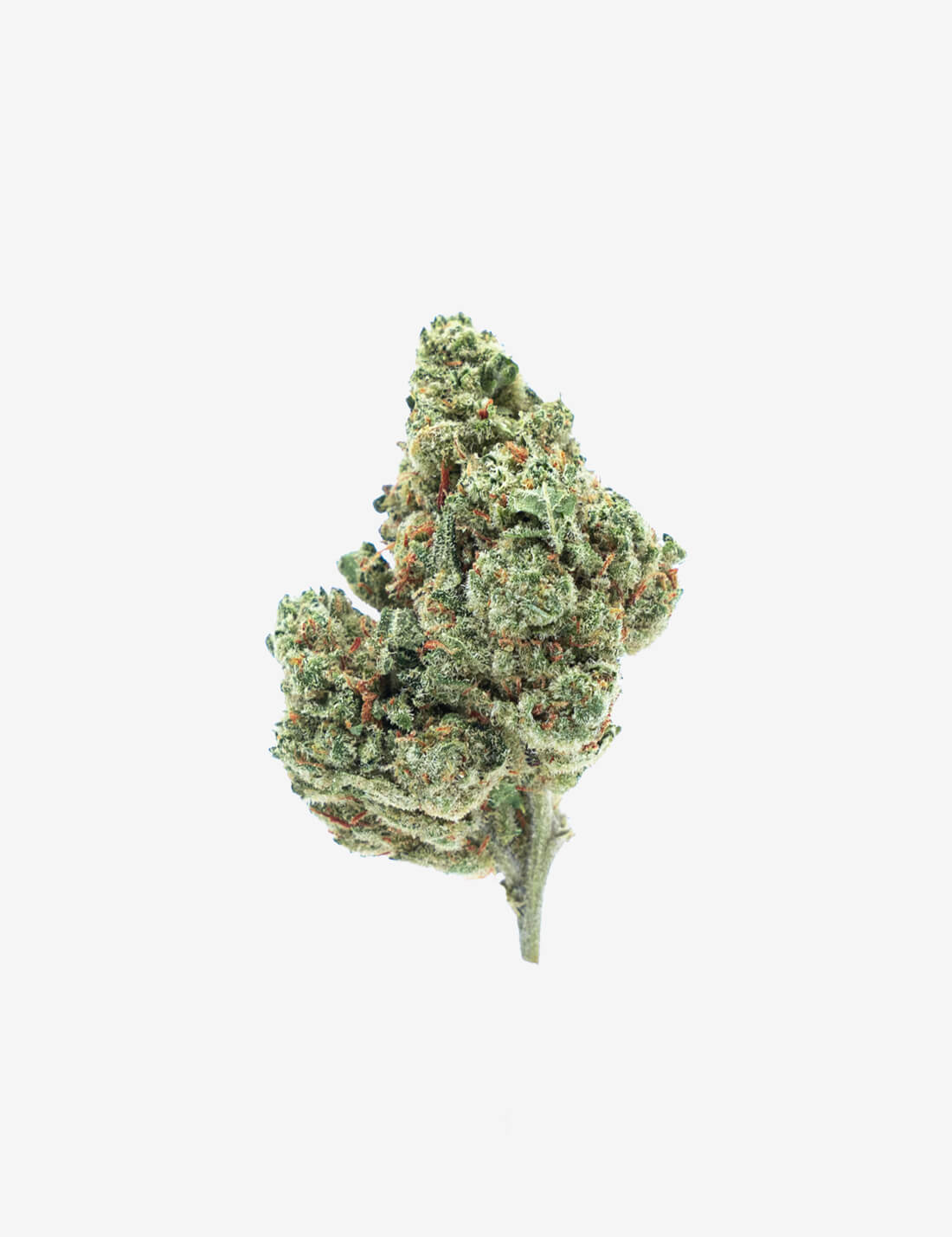 Amnesia CBD｜Pot