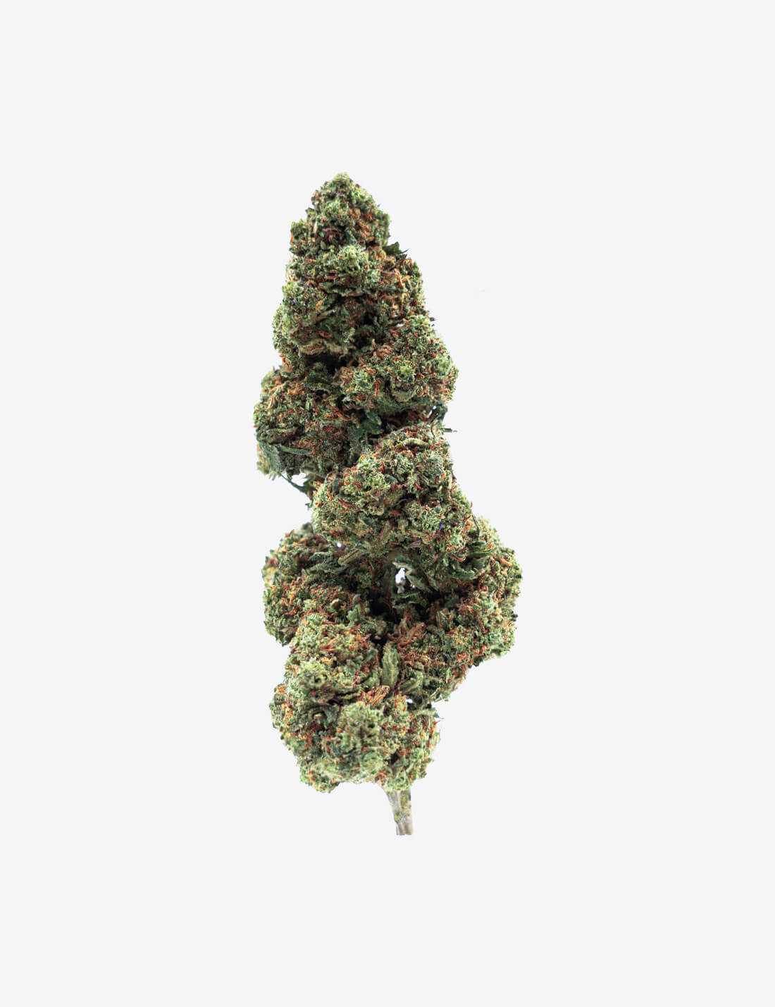 Amnesia RAF