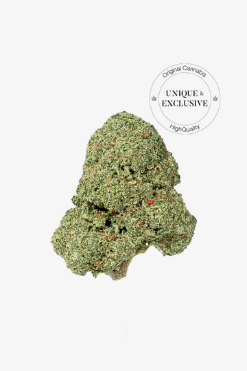 🎁 Emerald Triangle CBD｜Pot (100% off)