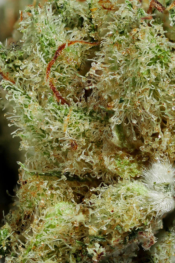 Kryptonite CBD