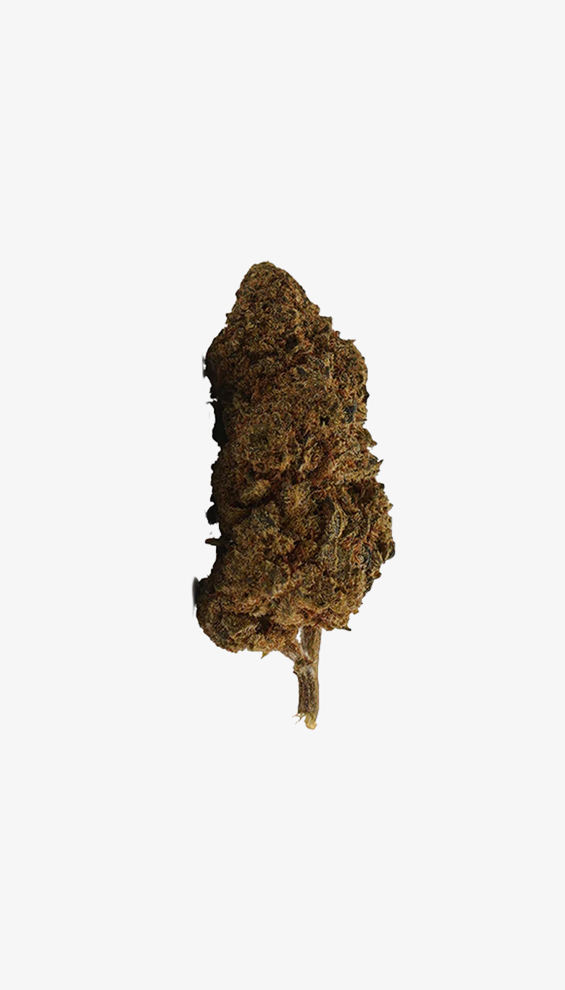 Uma fotografia de produto do White Widow CBD Small Buds (vista frontal) sobre um fundo branco