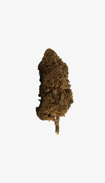 Uma fotografia de produto do White Widow CBD Small Buds (vista frontal) sobre um fundo branco