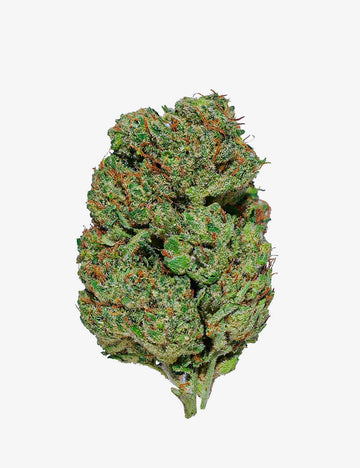 Gorilla Glue CBD, packshot sur un fond blanc