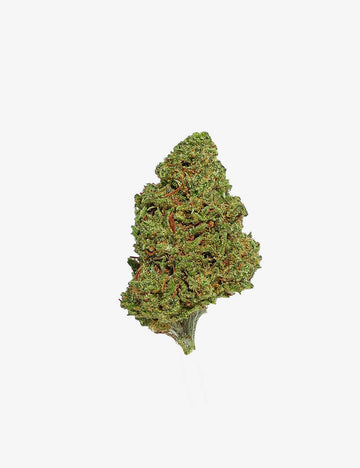 une photopacksho du Lemon Small Buds CBD sur un fond blanc