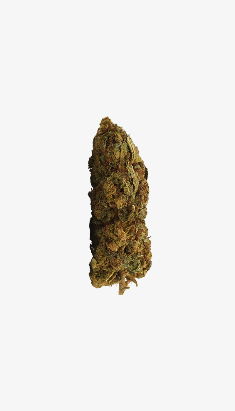 Une photo packshot du Lemon Haze CBD ( vue de face ) sur un fond blanc