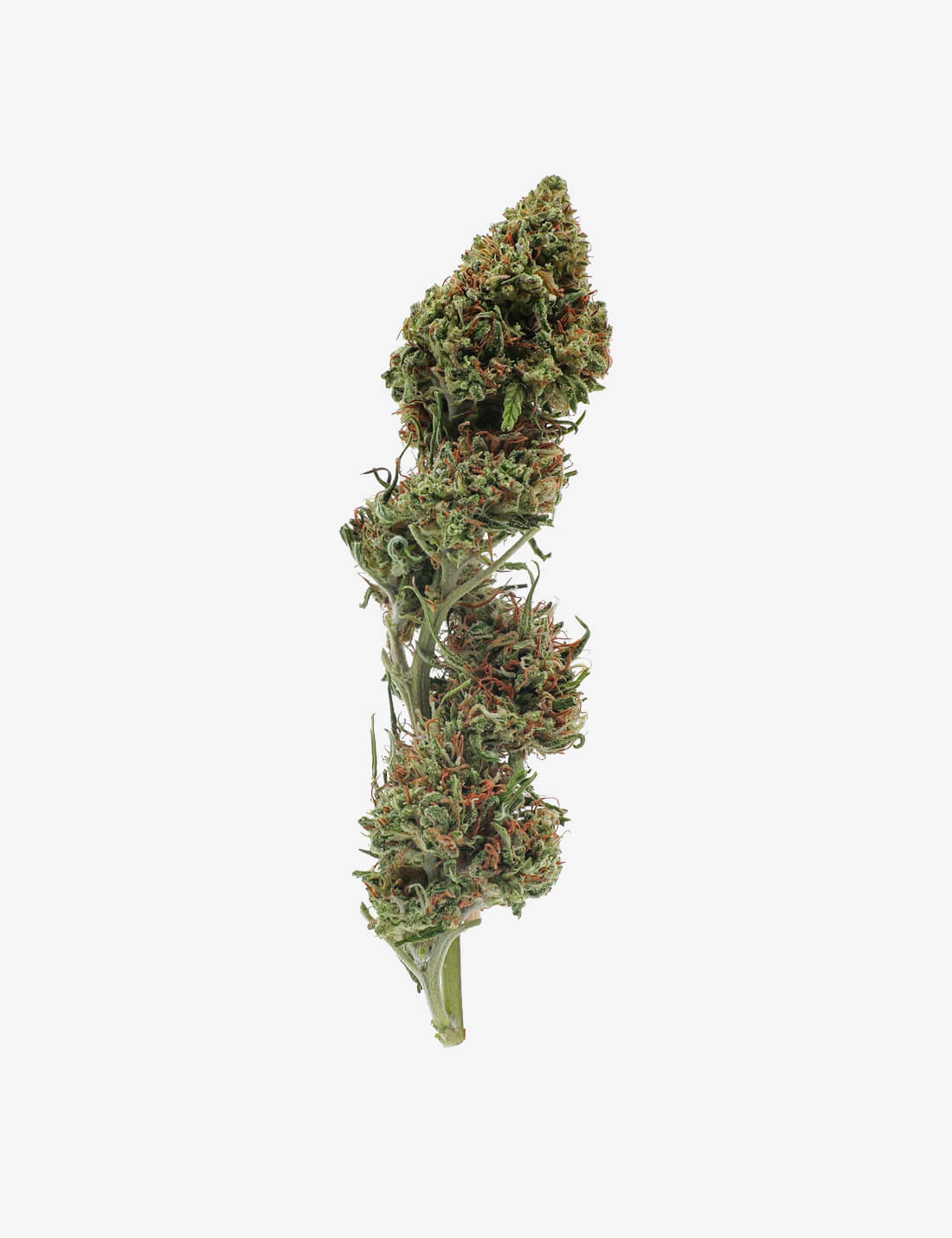 Mandarine CBD