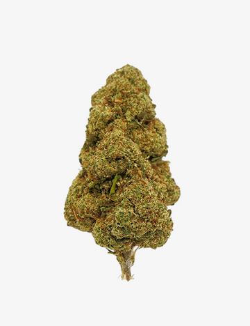 Une photo du White Widow CBD sur un fond blanc ( Packshot)