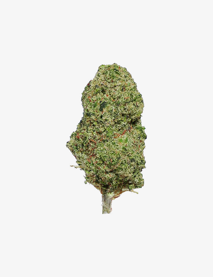 OG Kush CBD sur un fond blanc , style packshot