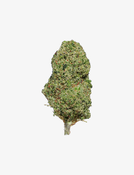 elfbar nachfüll pod läuft aus OG Kush CBD
