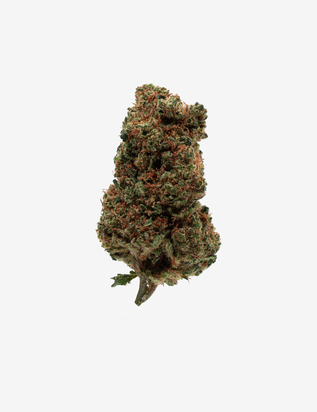 Una foto de producto de Orange Bud CBD sobre fondo blanco (vista frontal)