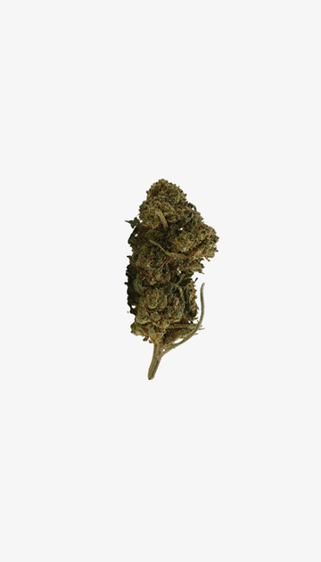 une photo packshot du Cannatonic CBD ( vue de face) sur un fond blanc