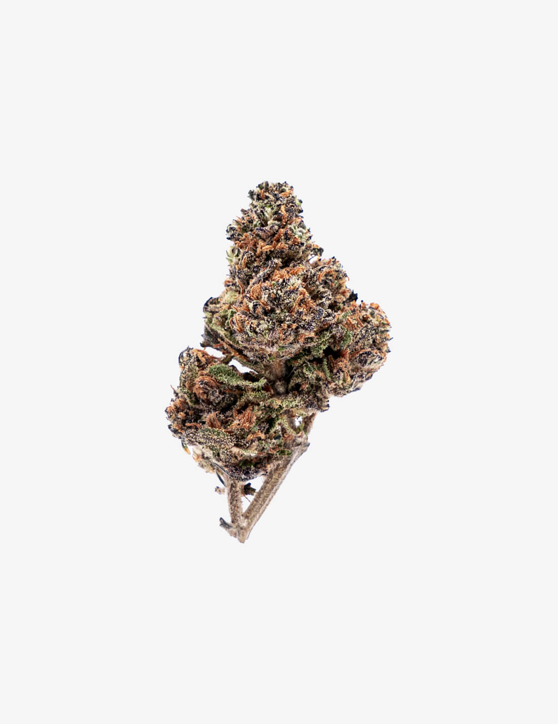 🎁 Purple Haze CBD (100% off)
