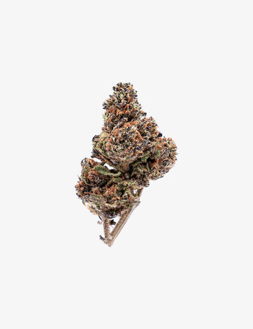 🎁 Purple Haze CBD (100% off)