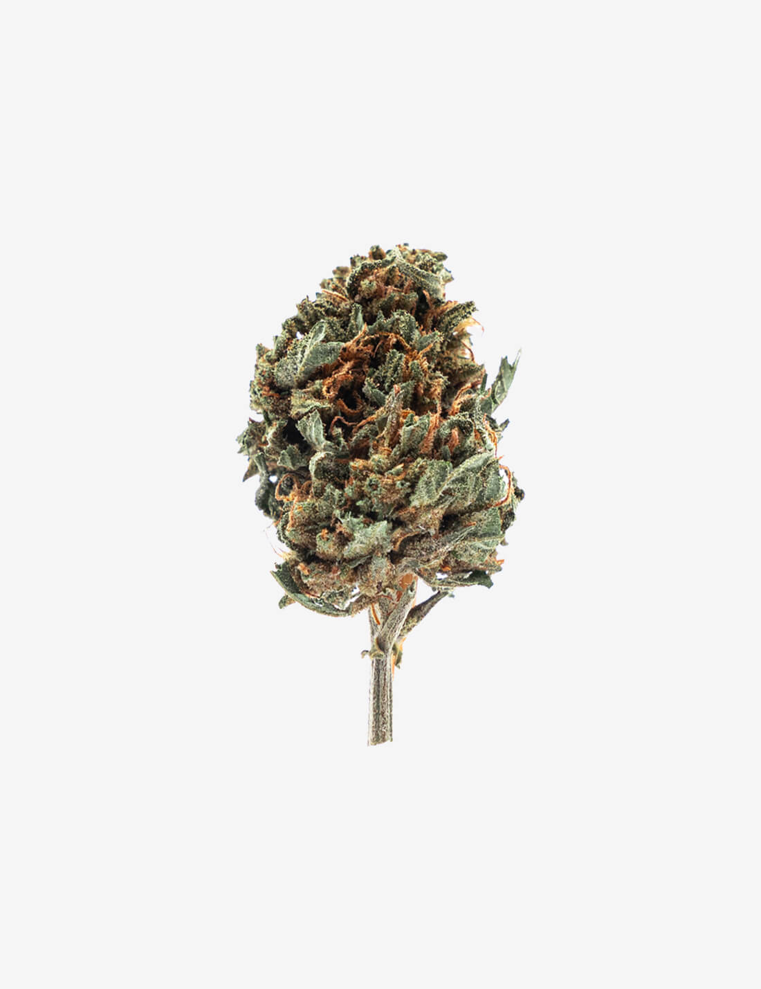 Remedy Small Buds CBD