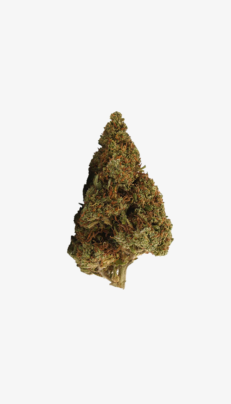 una foto de producto del Orange Bud CBD Small Buds (vista frontal) sobre fondo blanco